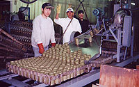 Alitak Fish Cannery