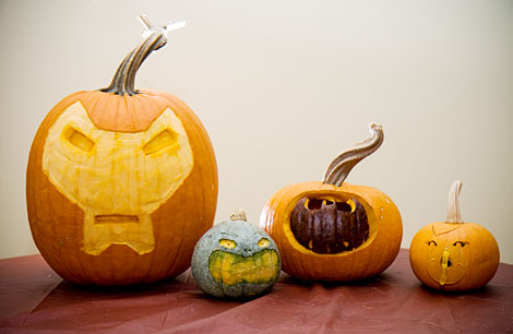 Iron Man, Hulk/Turtle, Bat Signal, Baby