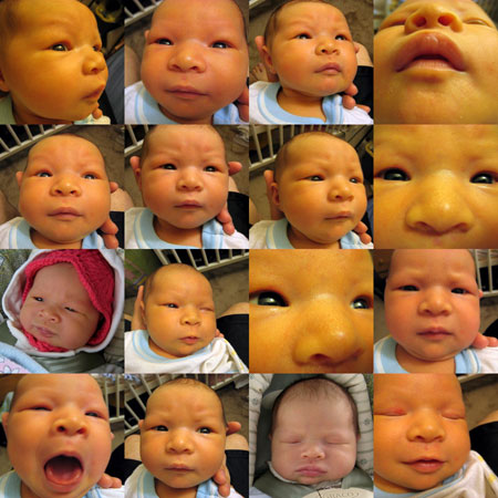 Kadence's Funny Faces