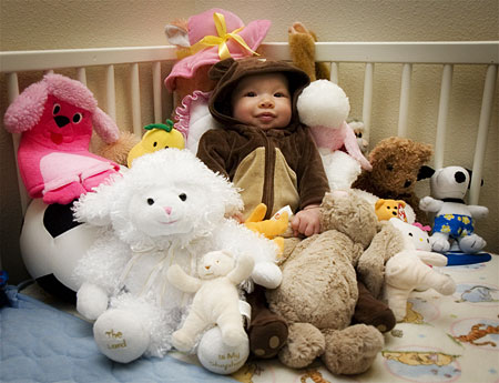 Kadie Bear and Pals