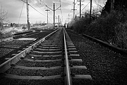 Max Tracks Looking East