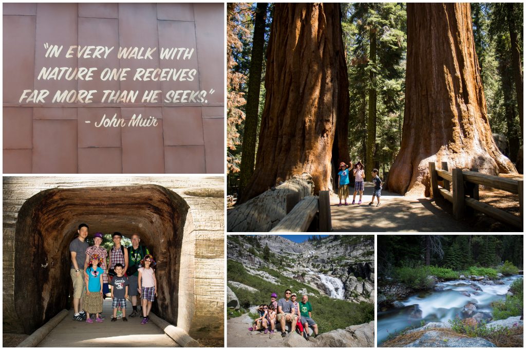 Sequoia National Park